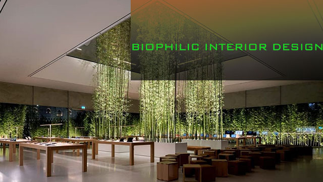 biophilic interior design