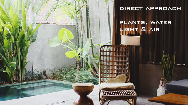 Biophilic interior design-direct approach